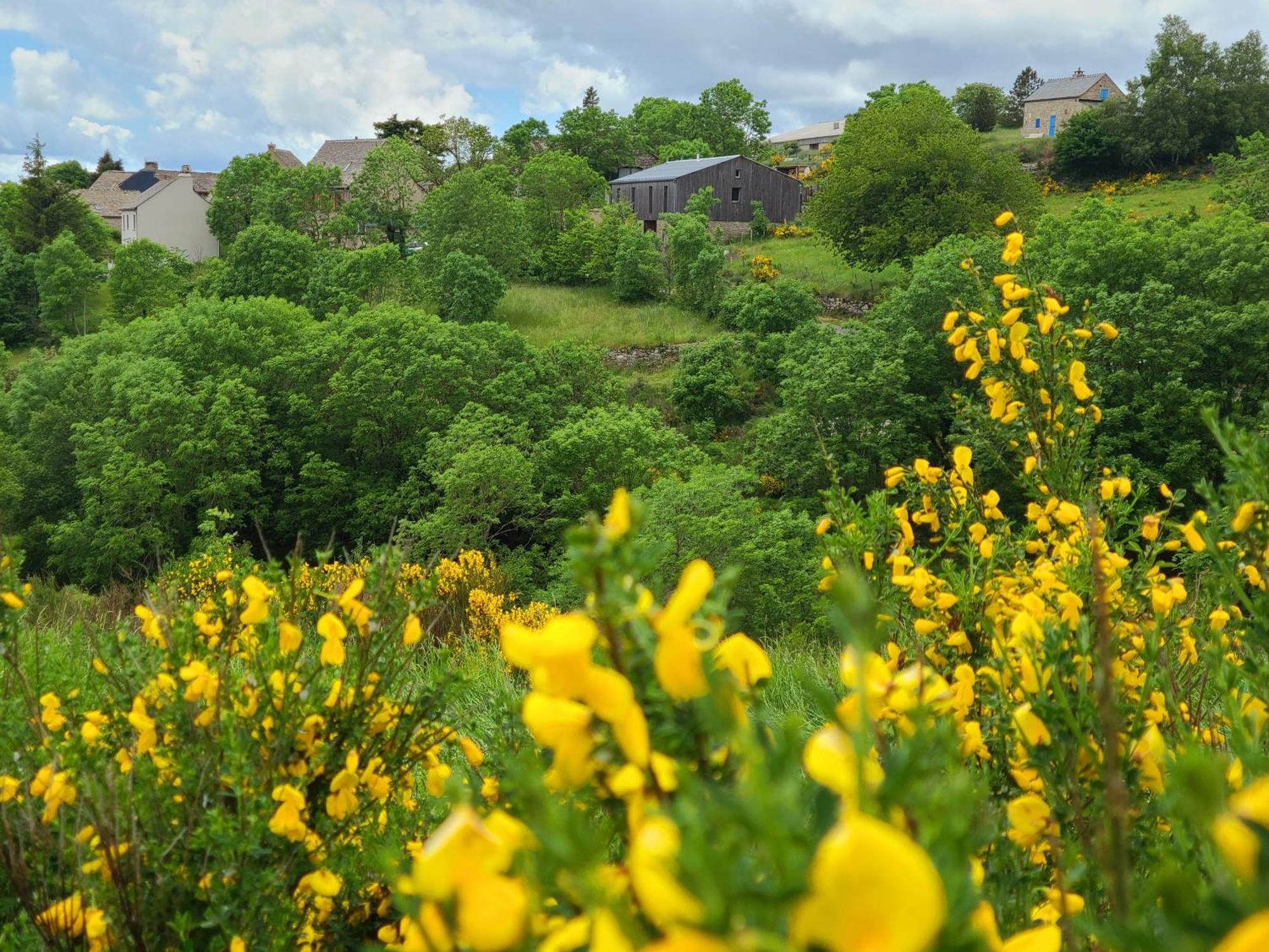 Gites La Boletiere Saint-Étienne-du-Valdonnez Exterior foto