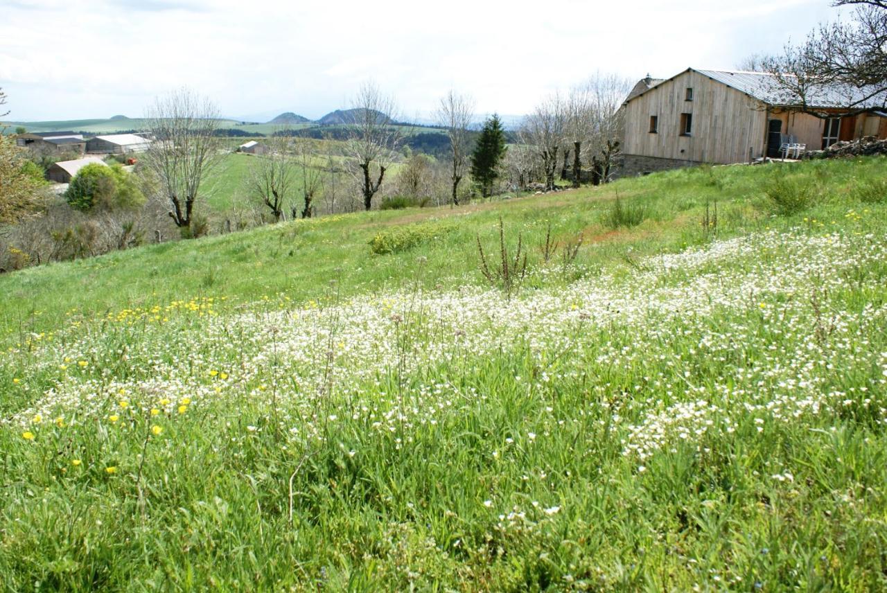 Gites La Boletiere Saint-Étienne-du-Valdonnez Exterior foto